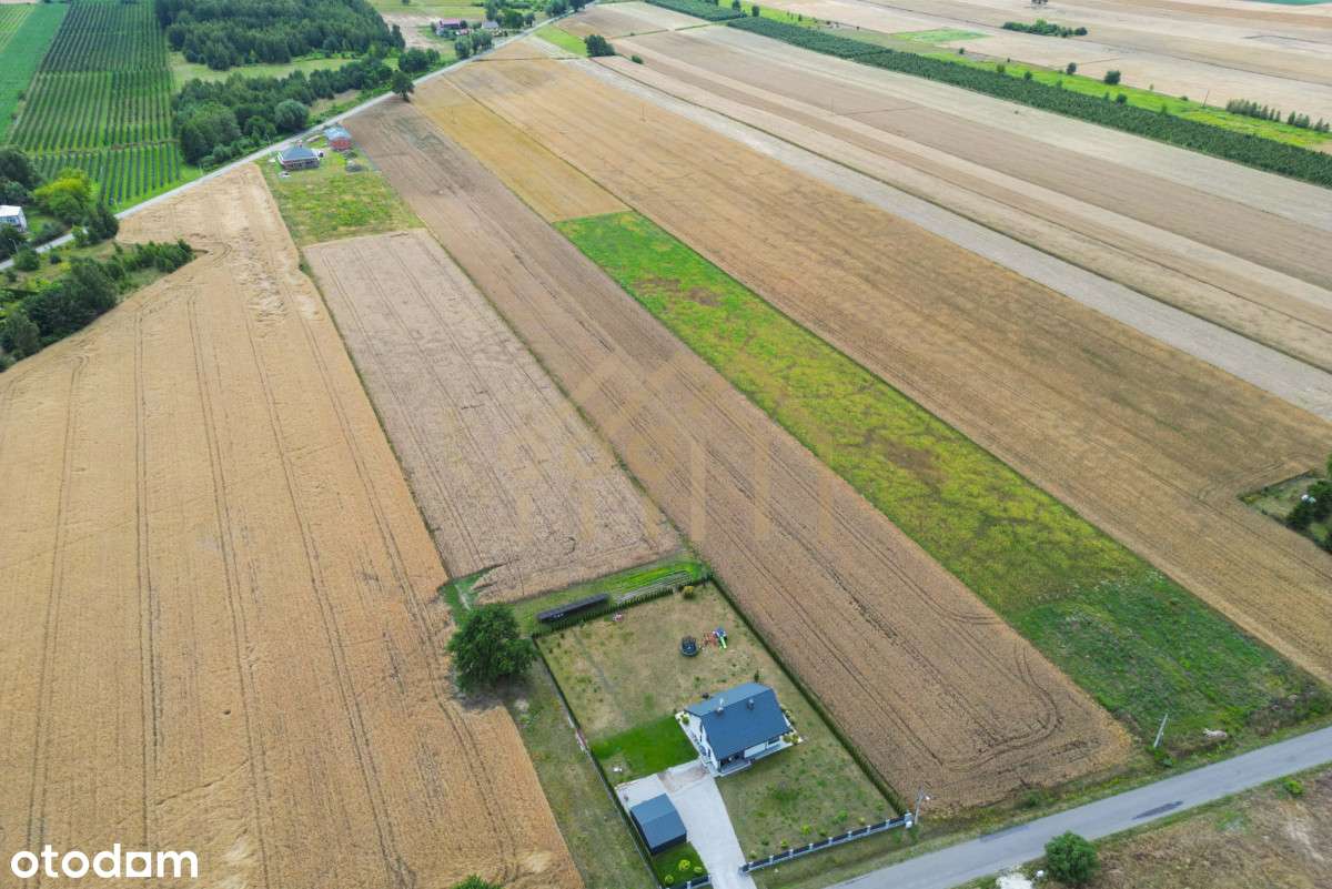 Działka z warunkami Zabudowy/ Chynów/ Grójec - Pełny obrazek: 4/18