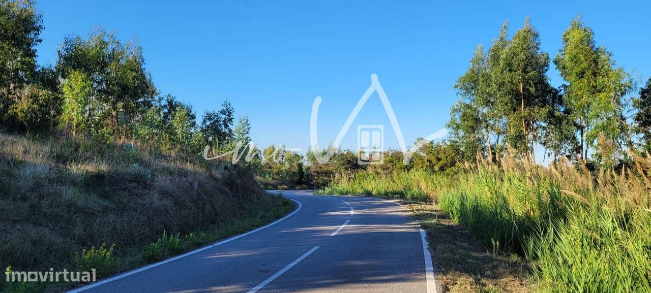 Terreno Rústico - Grande imagem: 3/3