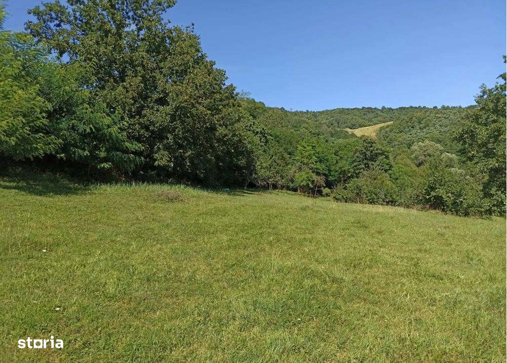 Proprietate plus 13 hectare teren la 25 km de Deva-15