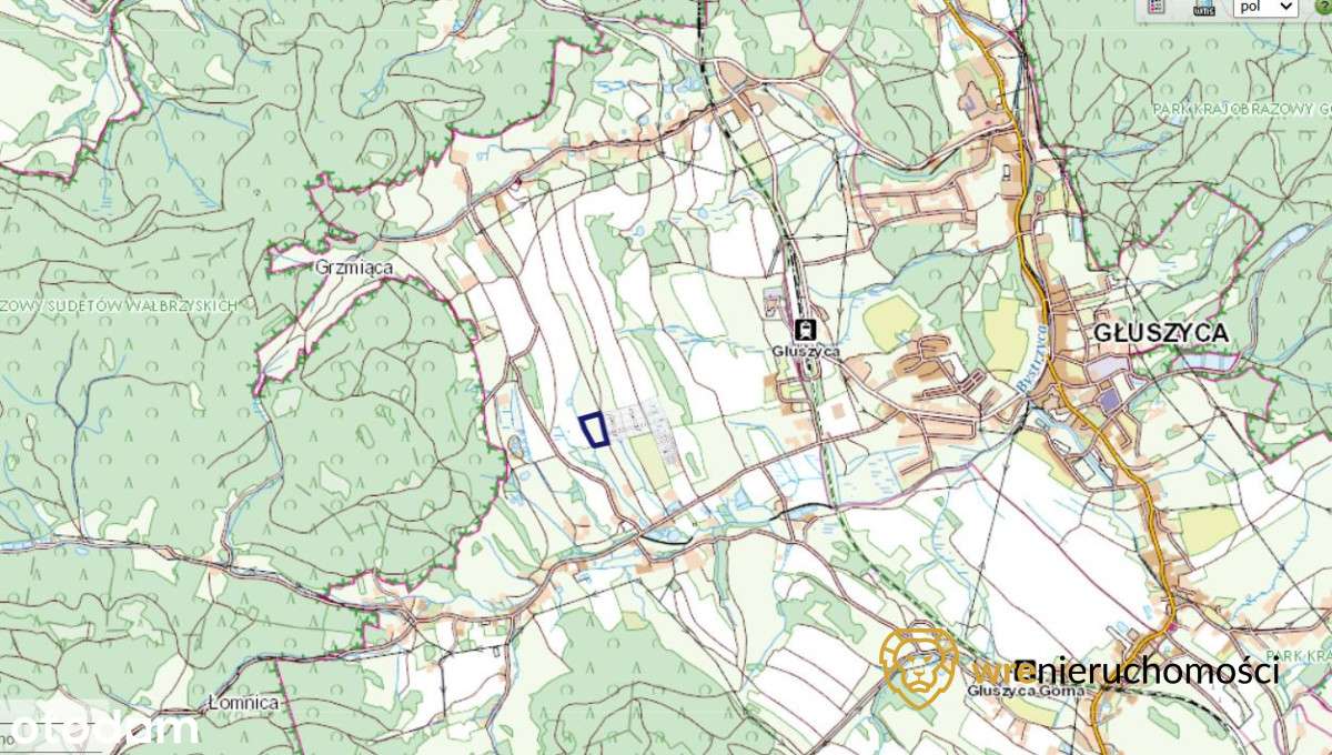 Widokowa działka z warunkami zabudowy! - Pełny obrazek: 4/6