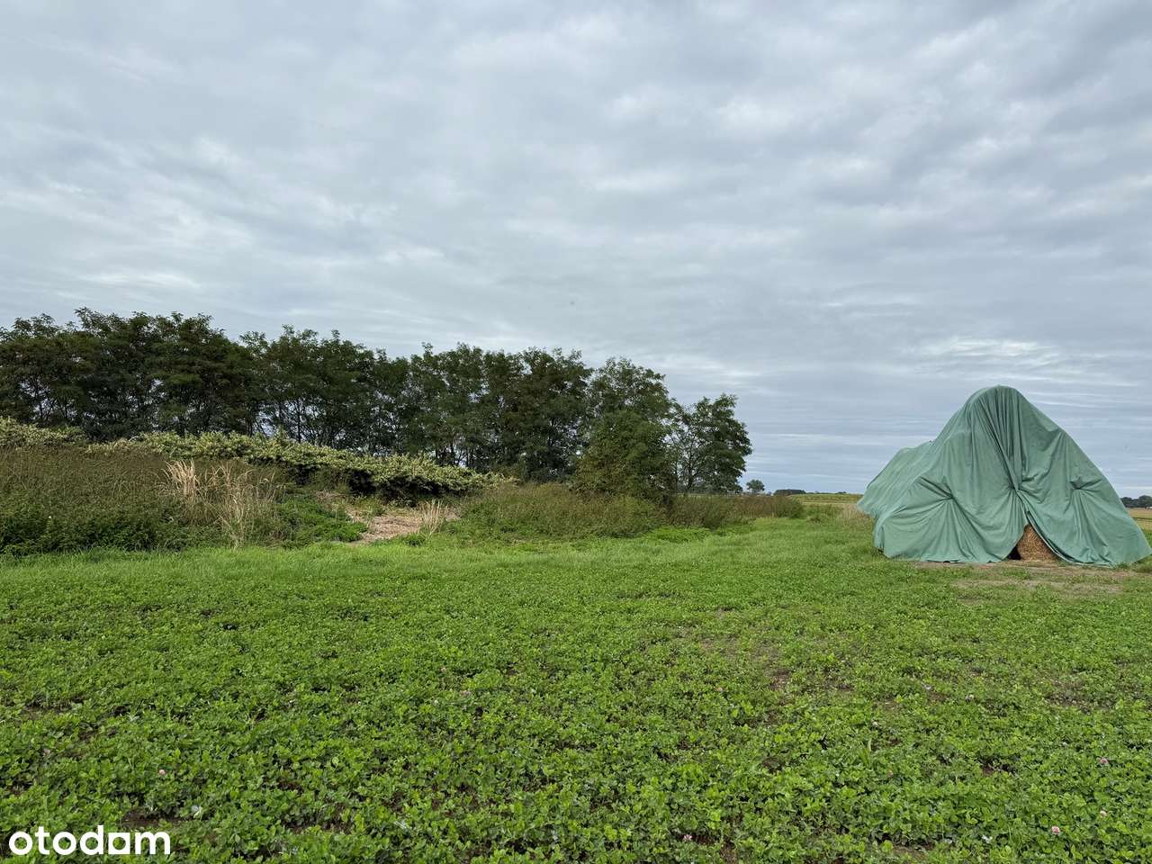 Działka w Starej Jamce-1