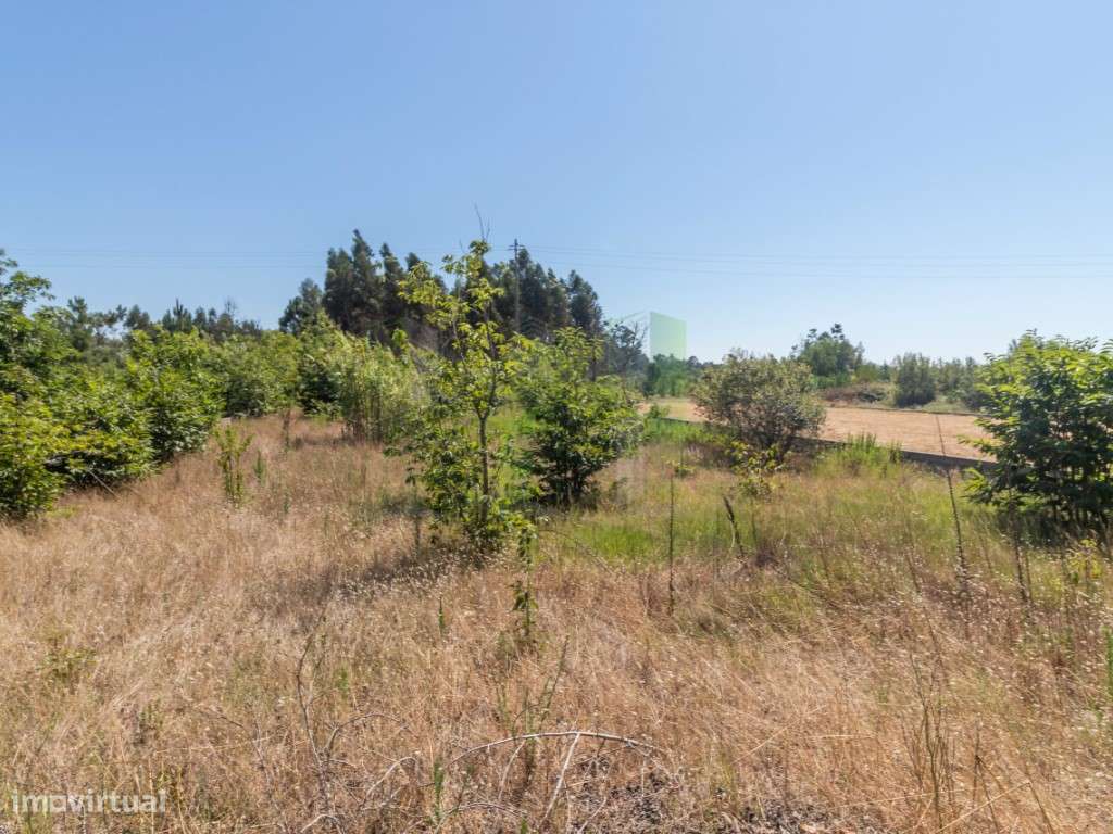 Lote Terreno em Mira - Grande imagem: 2/3