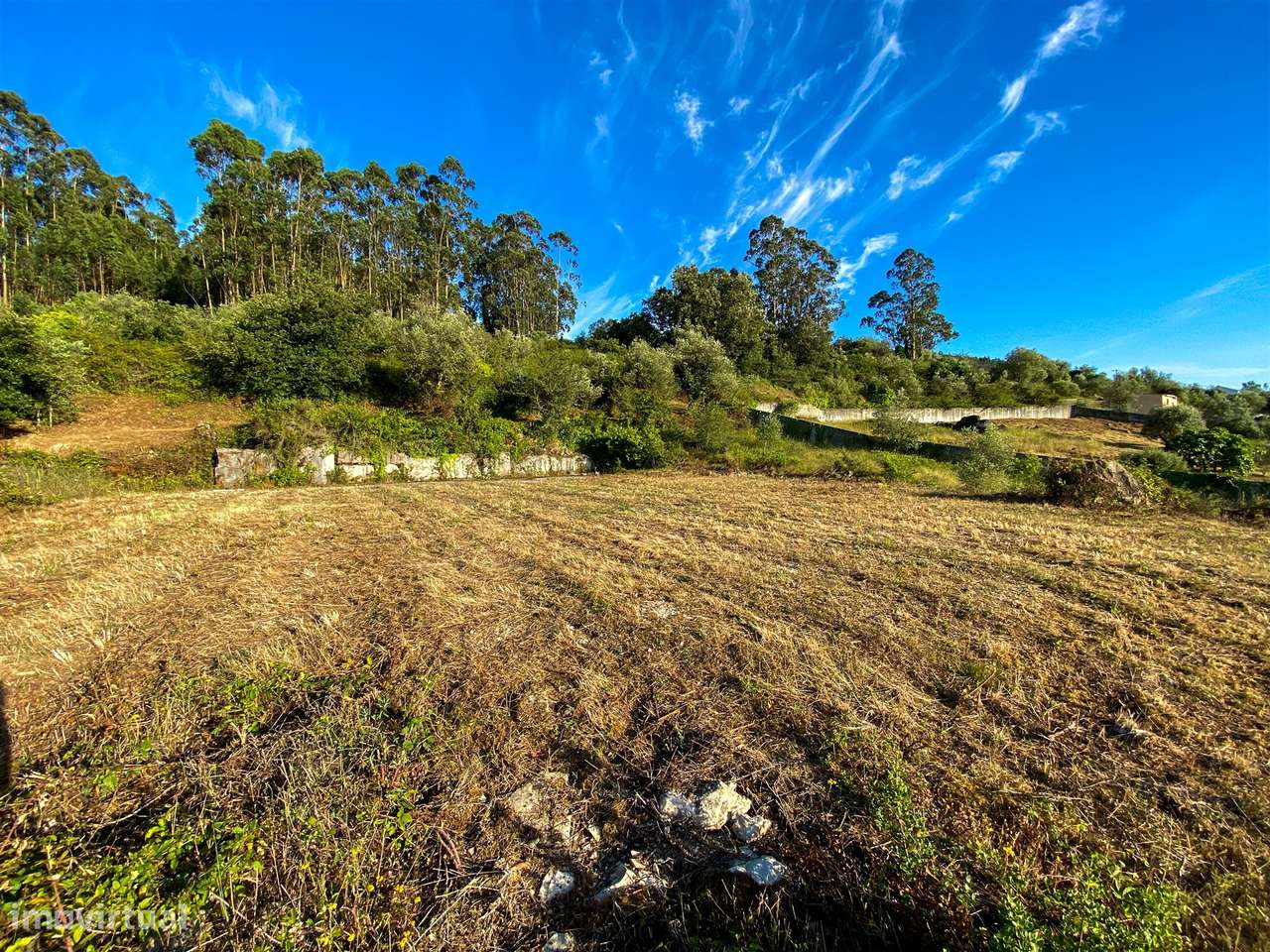 Terreno com Projeto Aprovado para Moradia | Alqueidão da Serra – Porto - Grande imagem: 5/23