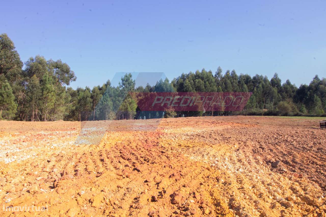 Terreno para Construção em Cervães, Vila Verde! - Grande imagem: 5/9