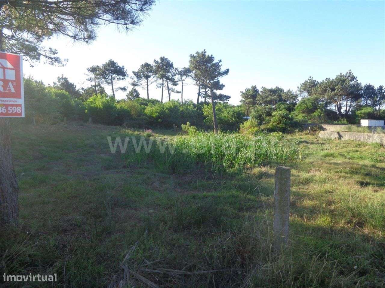 Terreno - Grande imagem: 4/6