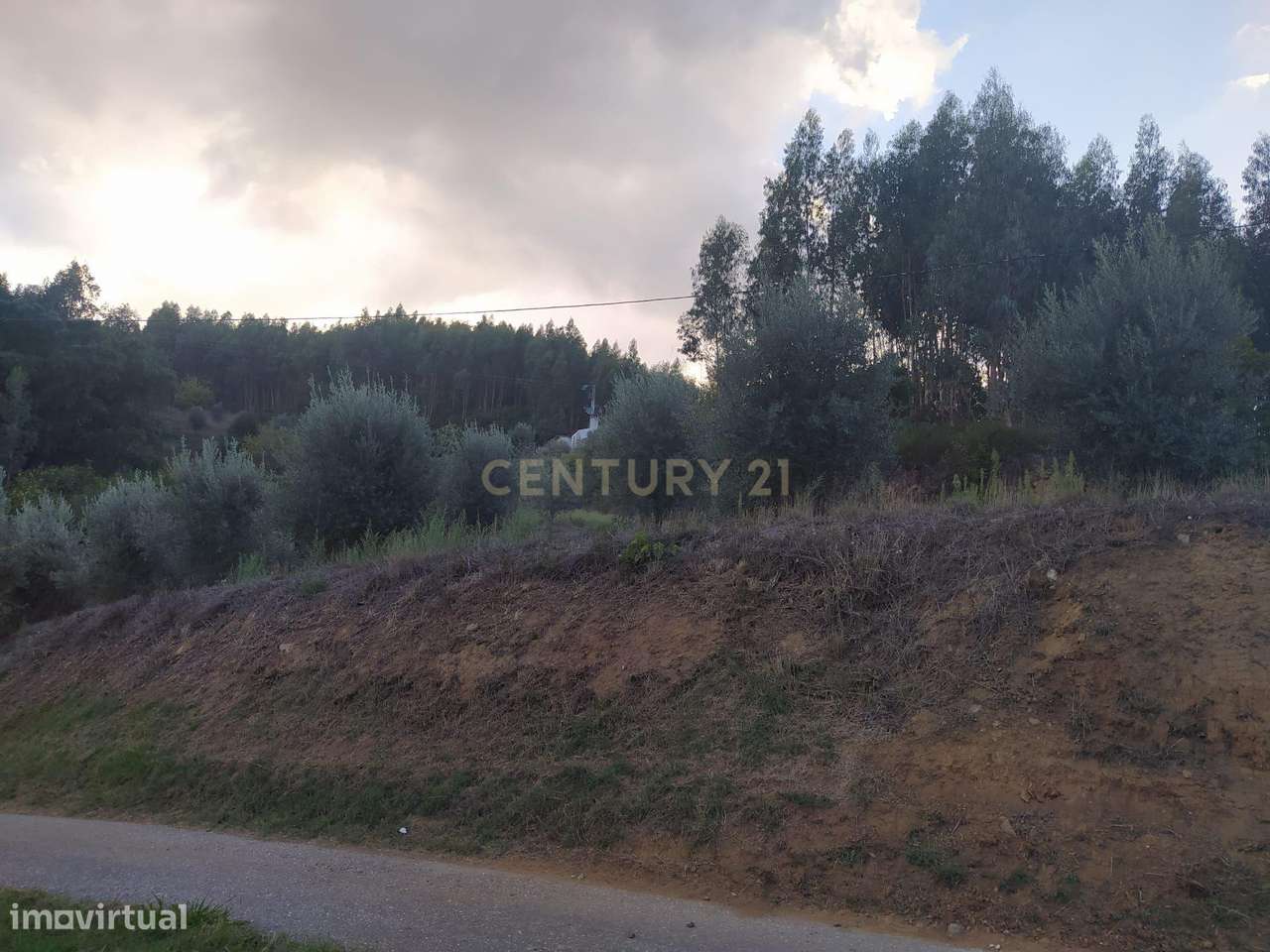 Terreno de 1 HECTARE - Ferreira do Zezere - Grande imagem: 4/6
