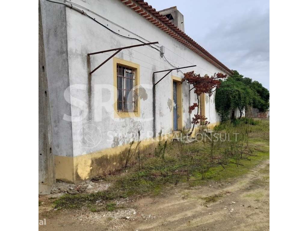 Quinta agrícola Valhascos/Sardoal - Grande imagem: 4/60