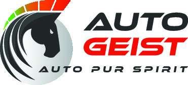 AUTO GEIST logo