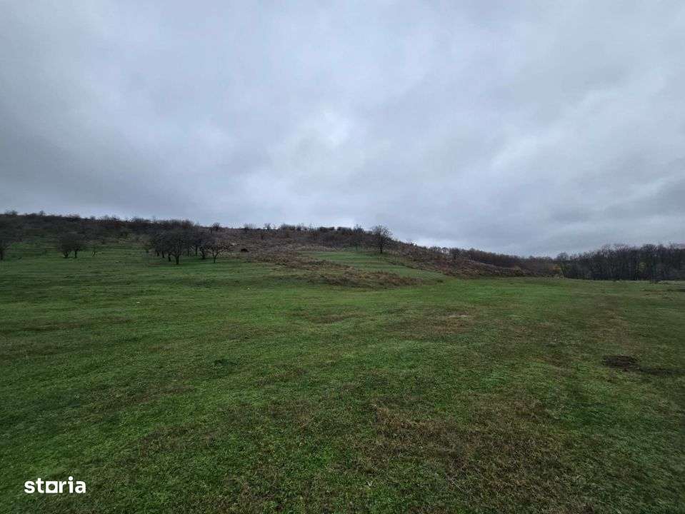 Teren  100.000 mp, Recea-Albota-6