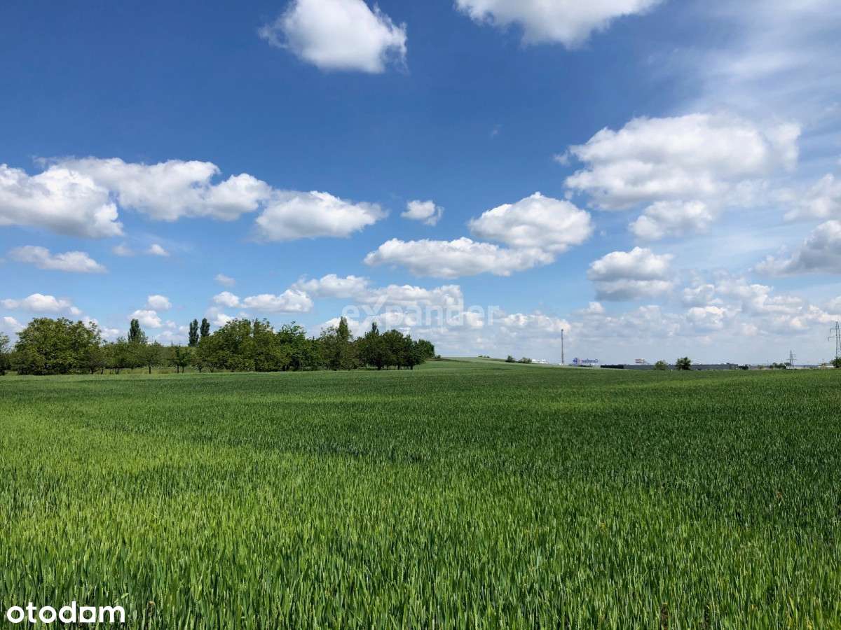 Mpzp | Działka budowlana | Głogów | okazja - Pełny obrazek: 5/7