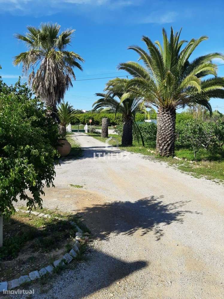 Uma oportunidade fantástica para investir em uma propriedade bem local - Grande imagem: 4/10