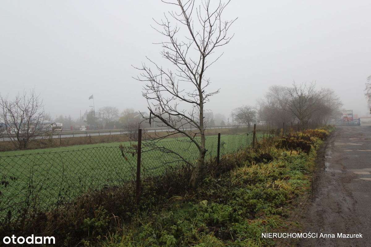 Dom z dużą działką, idealną pod AG, przy trasie nr 92 w Paczkowie-5