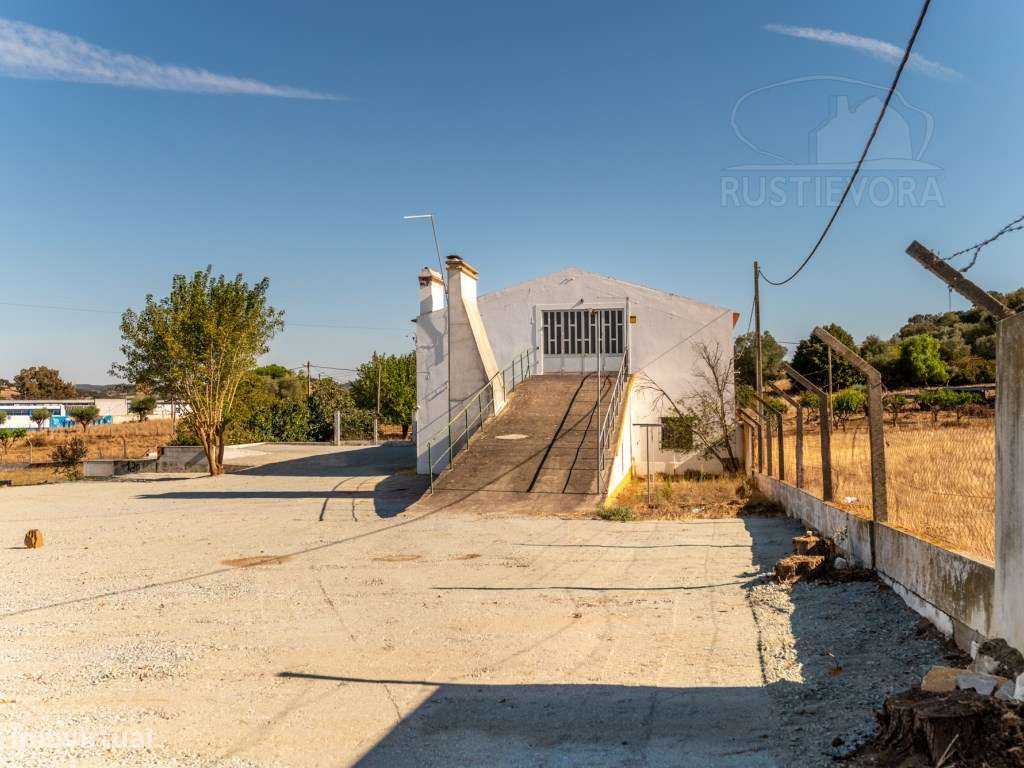 Quinta com armazém de 3 pisos-4