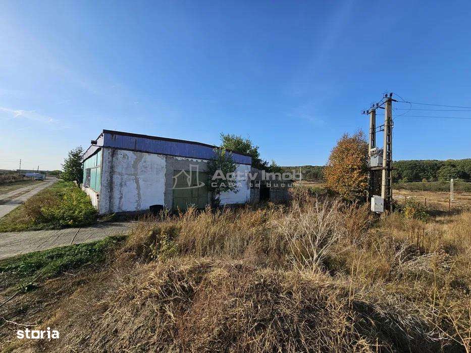 Hala industriala (1000 mp) si teren (4000 mp), Scornicesti, Trafo-4