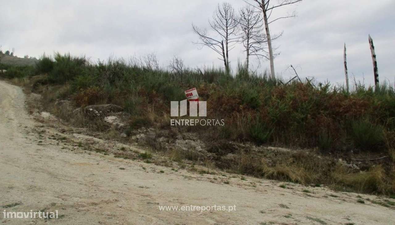 Venda Terreno, Paços de Gaiolo, Marco de Canaveses - Grande imagem: 3/13
