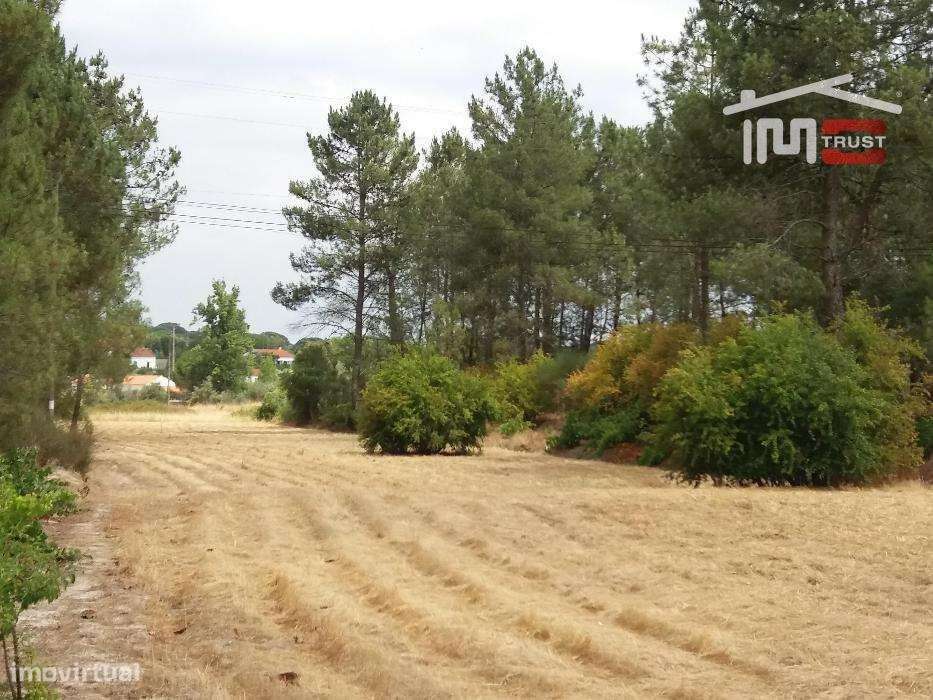 Quinta em Coruche c/ 34000m2 - Grande imagem: 3/10