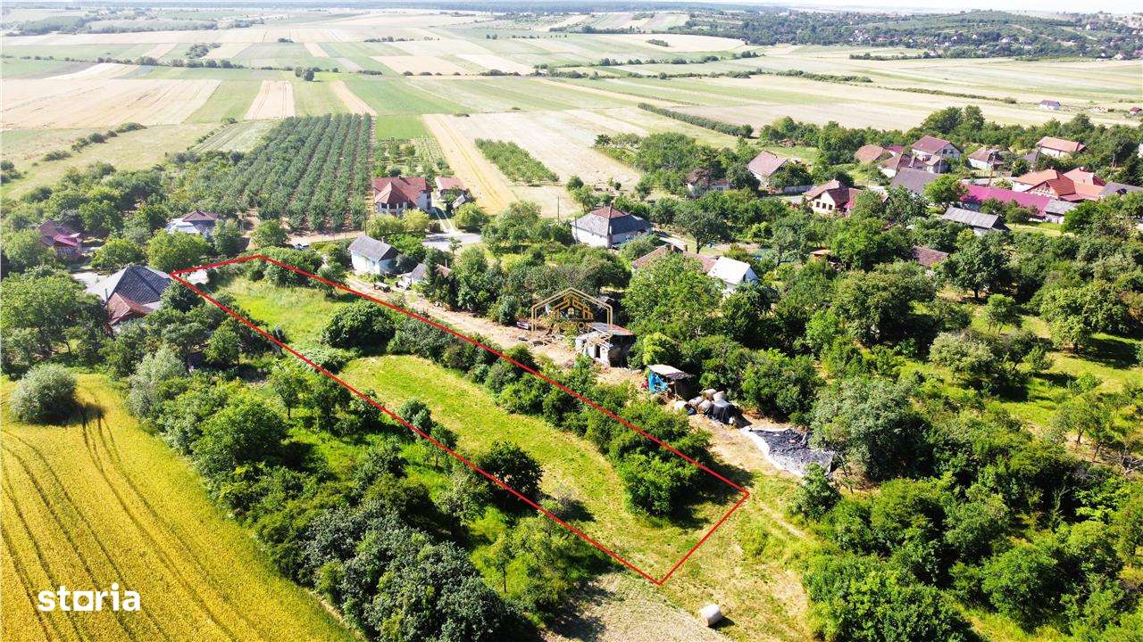 Teren intravilan - 2.488 mp in Viile Satu Mare | Drum principal - Imagine principală: 5/9