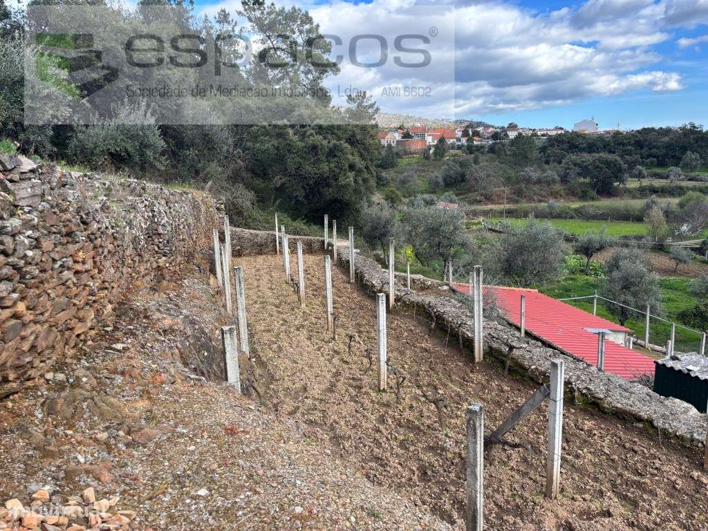 Quintinha-8