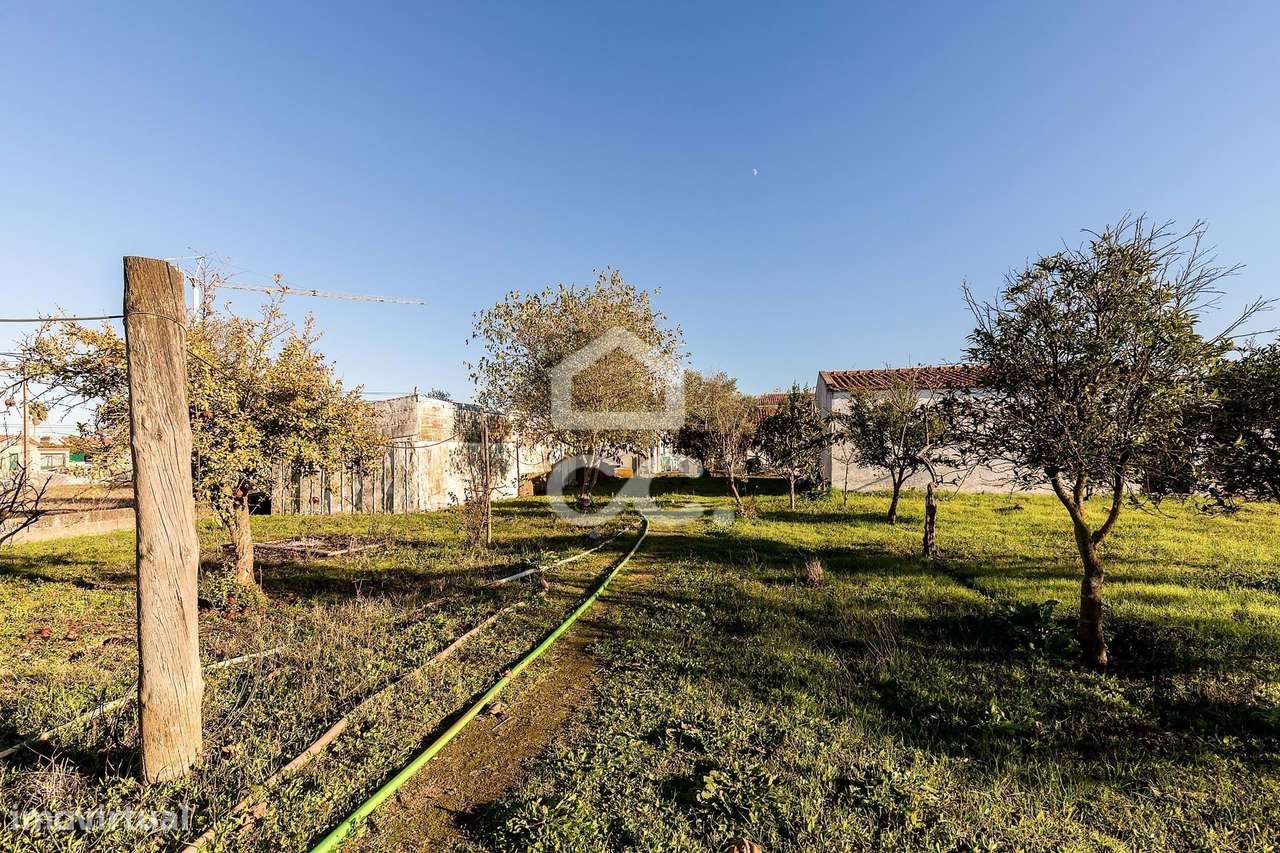 Terreno de  1.350 m² c/ Anexo de Apoio Agrícola | Canaviais, Évora-22
