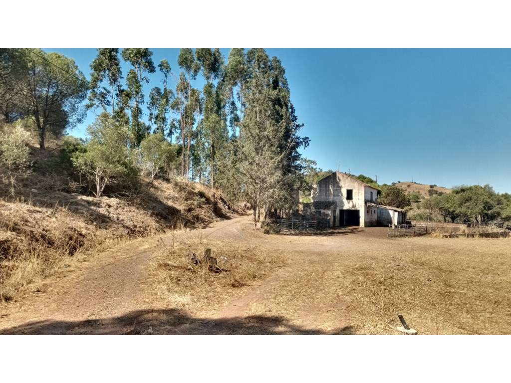 Terreno Misto com 560.000 m2 destinado a Agro-Turismo perto de Silv... - Grande imagem: 2/30