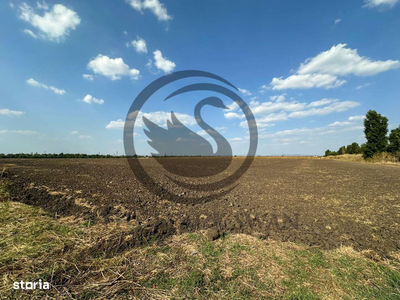 Teren extravilan de vanzare | 9882mp | Berceni - Prahova | Comision 0%-4