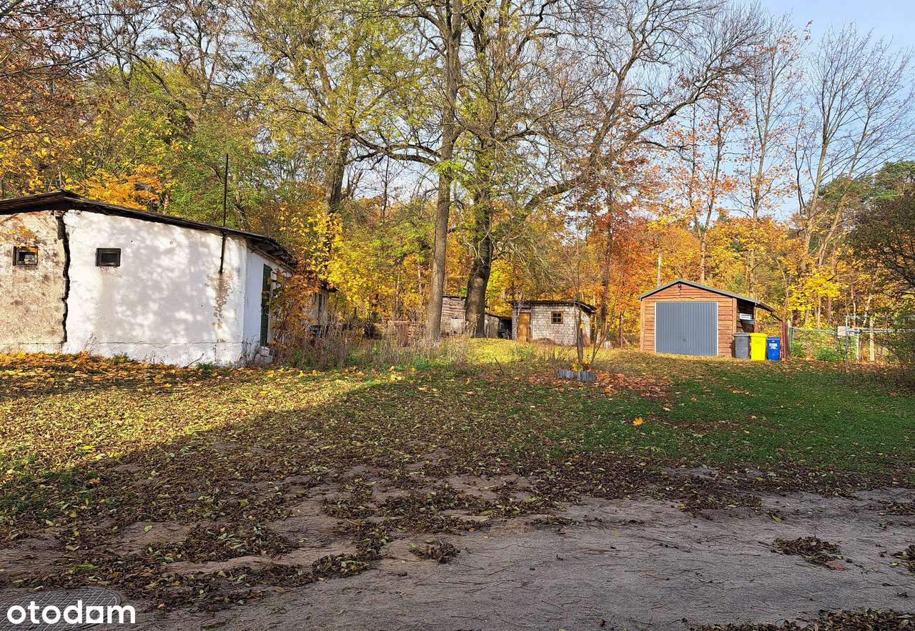 2-pokojowe mieszkanie 51,4 m2  do kapitalnego remontu–osiedle PGR - Pełny obrazek: 4/8