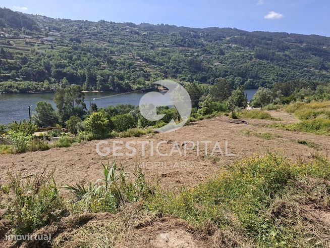 Quintinha com vista para o Douro em Magrelos, Marco de Canaveses-4