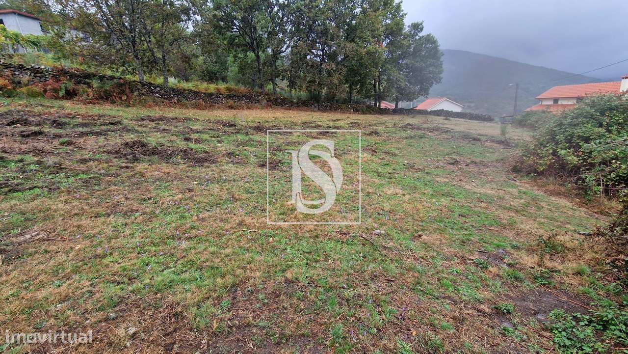 Vivenda de campo e vários terrenos para venda em Zebral, Vieira do Min-33