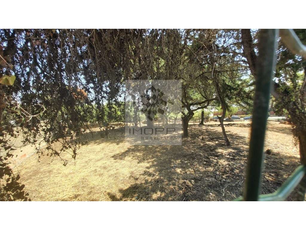 Terreno Exclusivo com 1241 m² para Construção de Moradia de Luxo co... - Grande imagem: 5/18