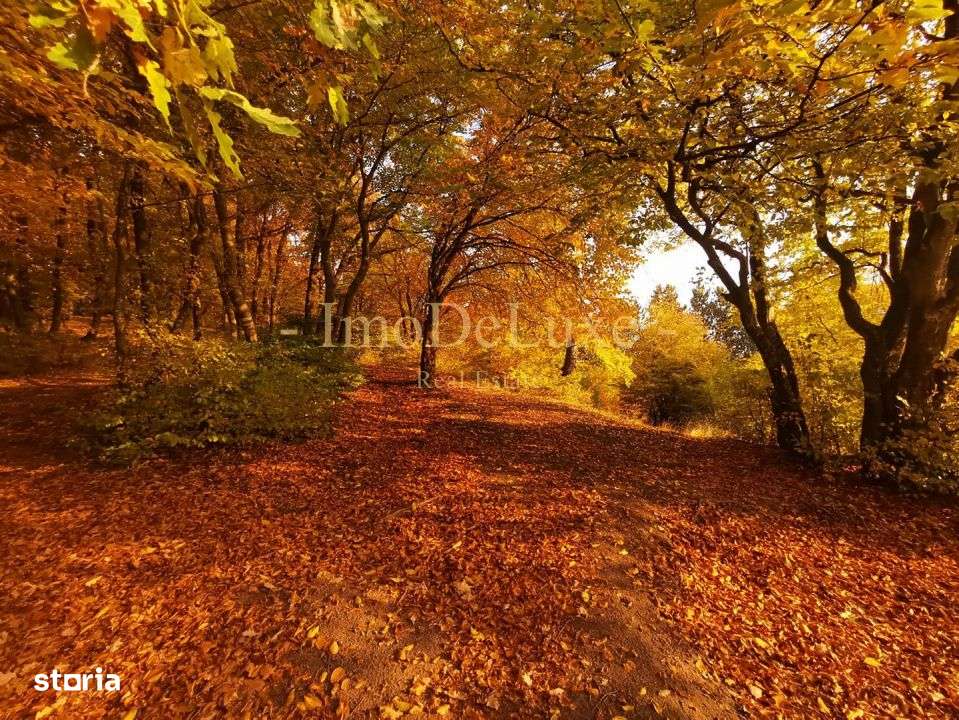 Teren intravilan in Valcele, 1604mp, front 22 ml, zona centrala - Imagine principală: 4/6