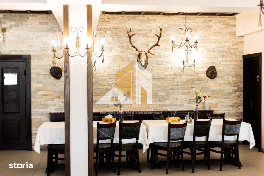 Bijuterie Turistica in Pasul Tihuta: Pensiune Eleganta de Vanzare-4