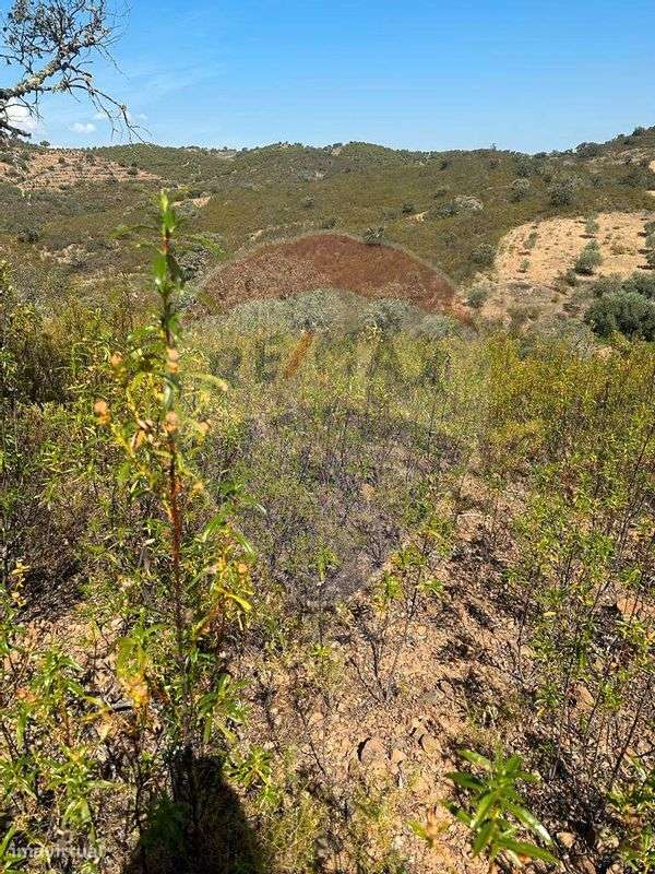 Terreno  para venda - Grande imagem: 2/9