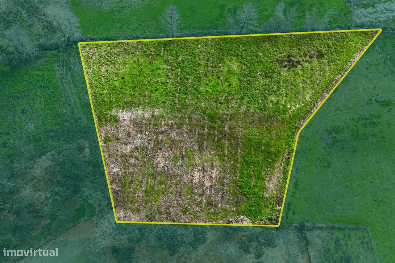 Terreno Rústico  Venda em Associação de freguesias do Vale do Neiva,Po-16