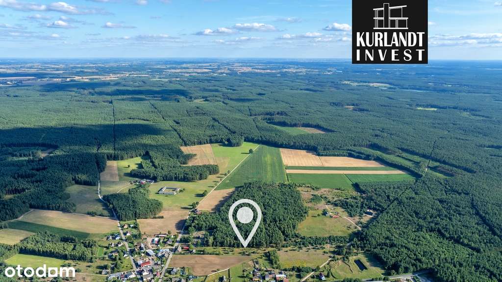 Działka budowlana 1272 m² koło Cekcyna - Pełny obrazek: 5/5