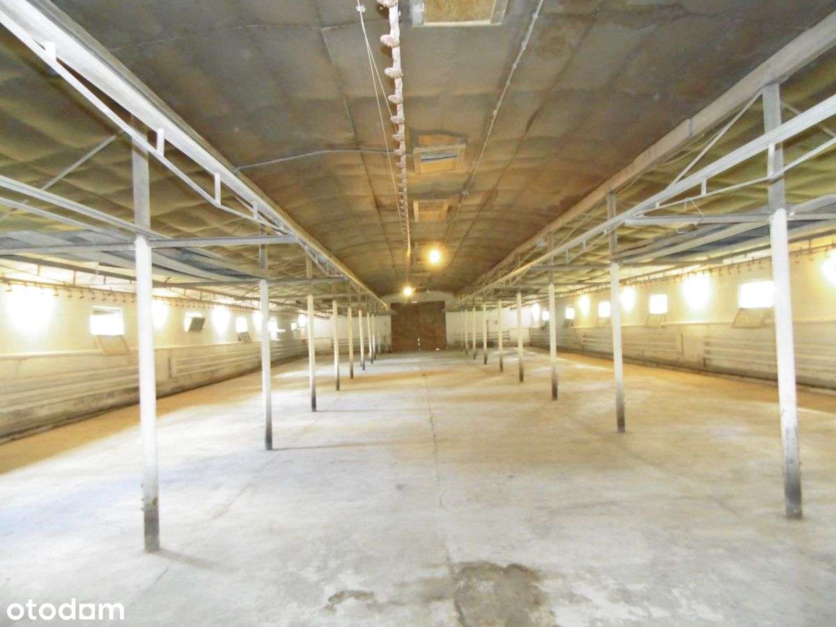 Hala magazynowa w Chwaszczynie - Pełny obrazek: 5/6