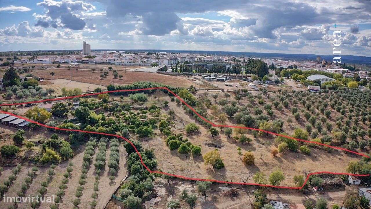 Imóvel Exclusivo | Hortas das Boeiras-46