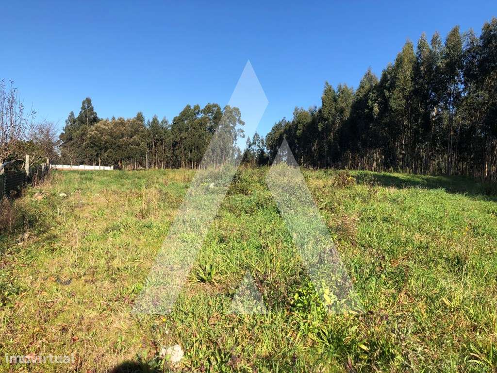 Terreno em Beduído - Estarreja - Grande imagem: 2/12