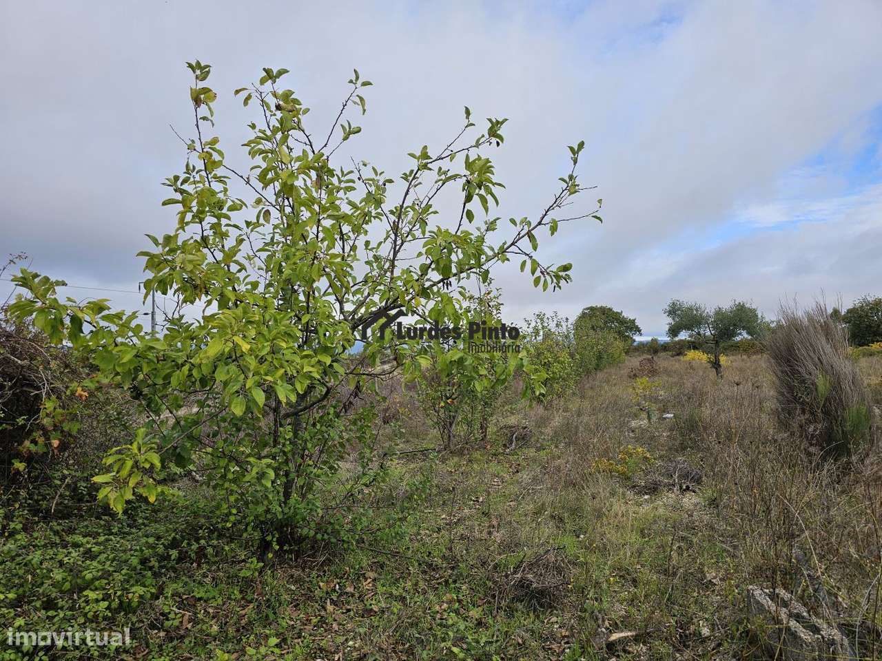 Quinta com construção em pedra-9