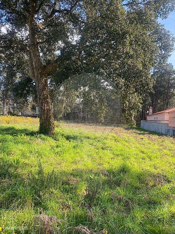 Terreno  para venda - Grande imagem: 3/11