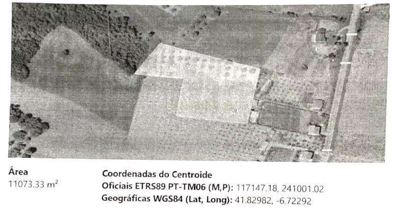 Terreno Rústico de 11.692 m²  – Oportunidade para Jovens Agricultores - Grande imagem: 3/8