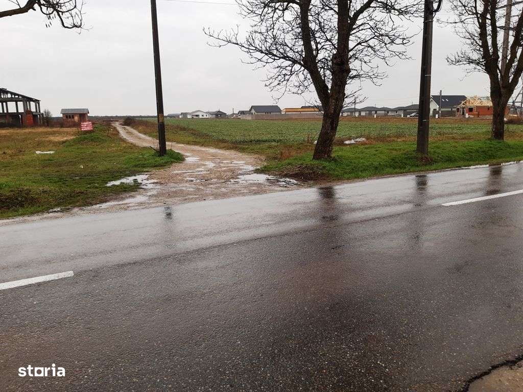 TEREN pt casa intravilan cu PUZ 620 mp in SANTANDREI la sosea asfalta - Imagine principală: 2/12