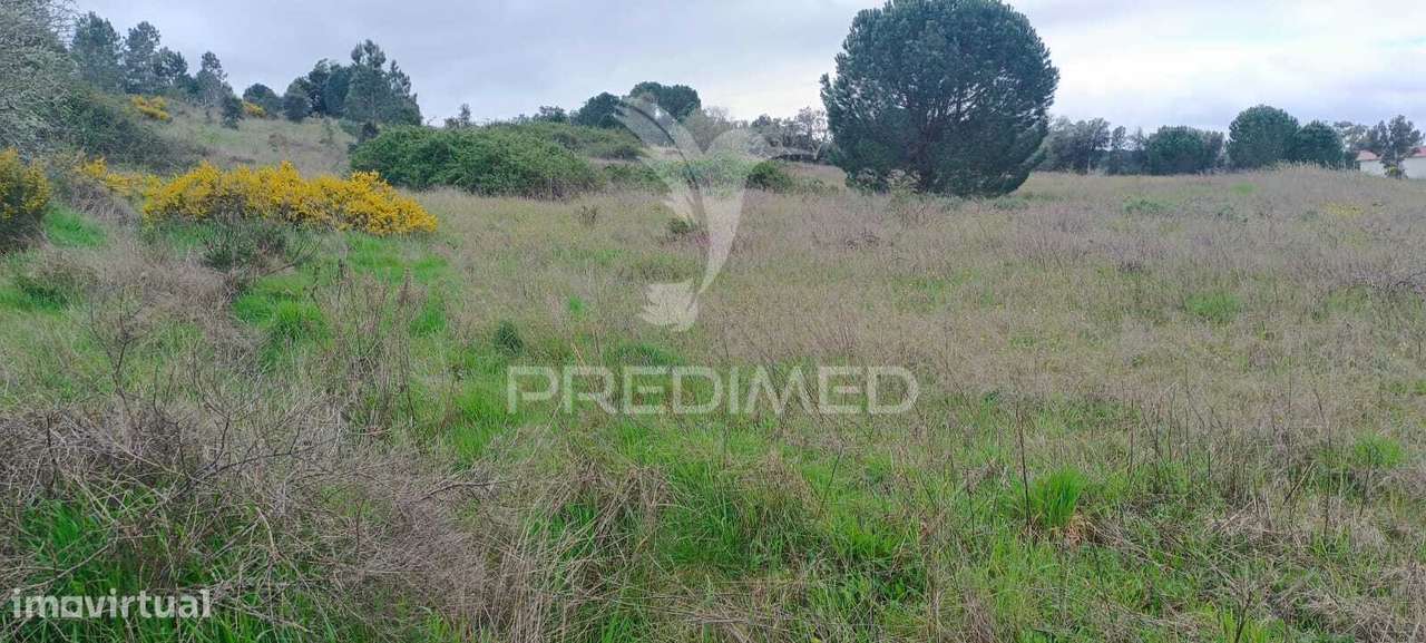 Terreno rustico (1,6 ha) junto à Mata de Cabeção– Excelente Oportun... - Grande imagem: 4/5