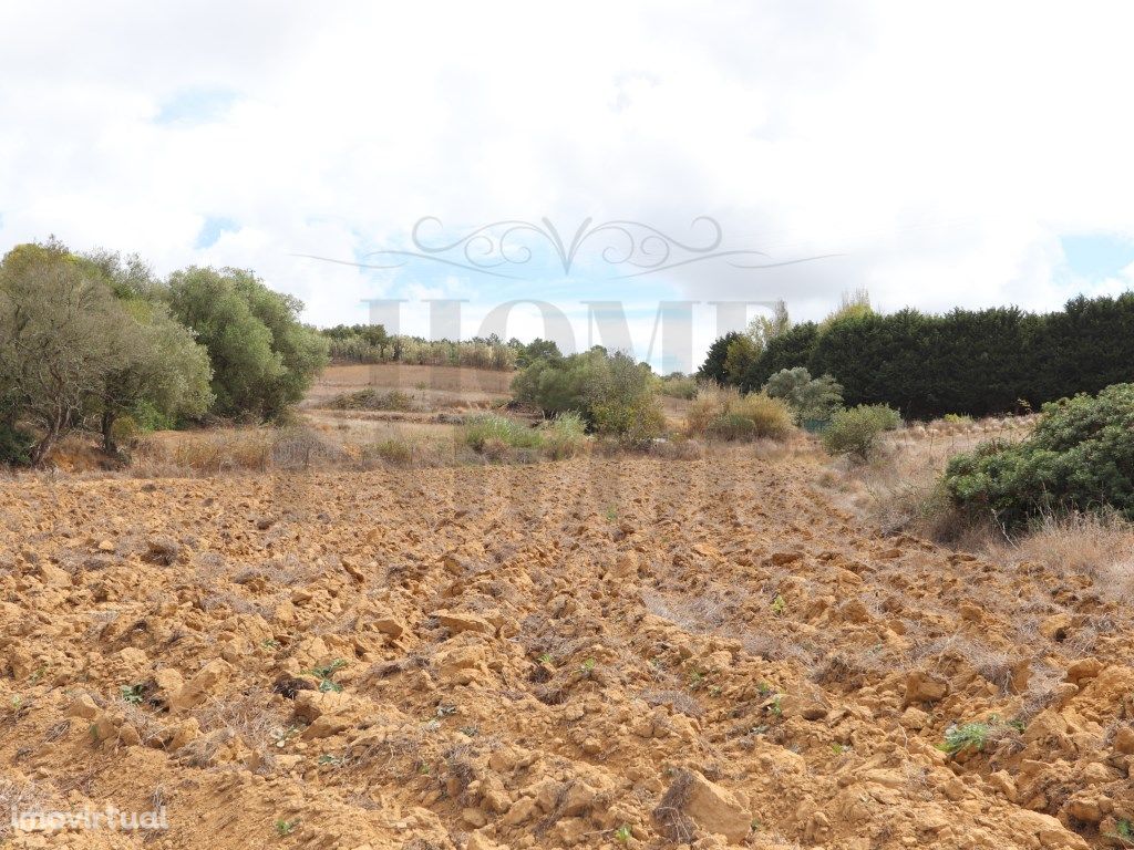 Terreno Agrícola com ótimos acessos!