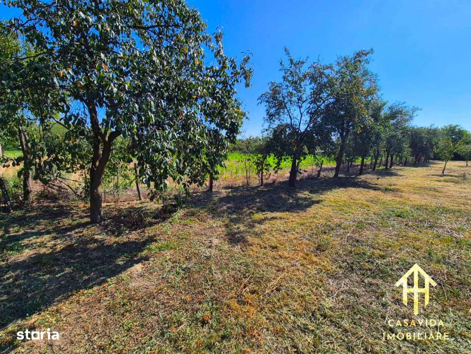 Casa cu teren generos in Lugojel, judetul Timis - Imagine principală: 3/8