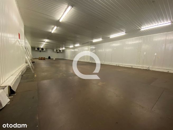 Mysłowice - magazyn/mroźnia 3000m2-2