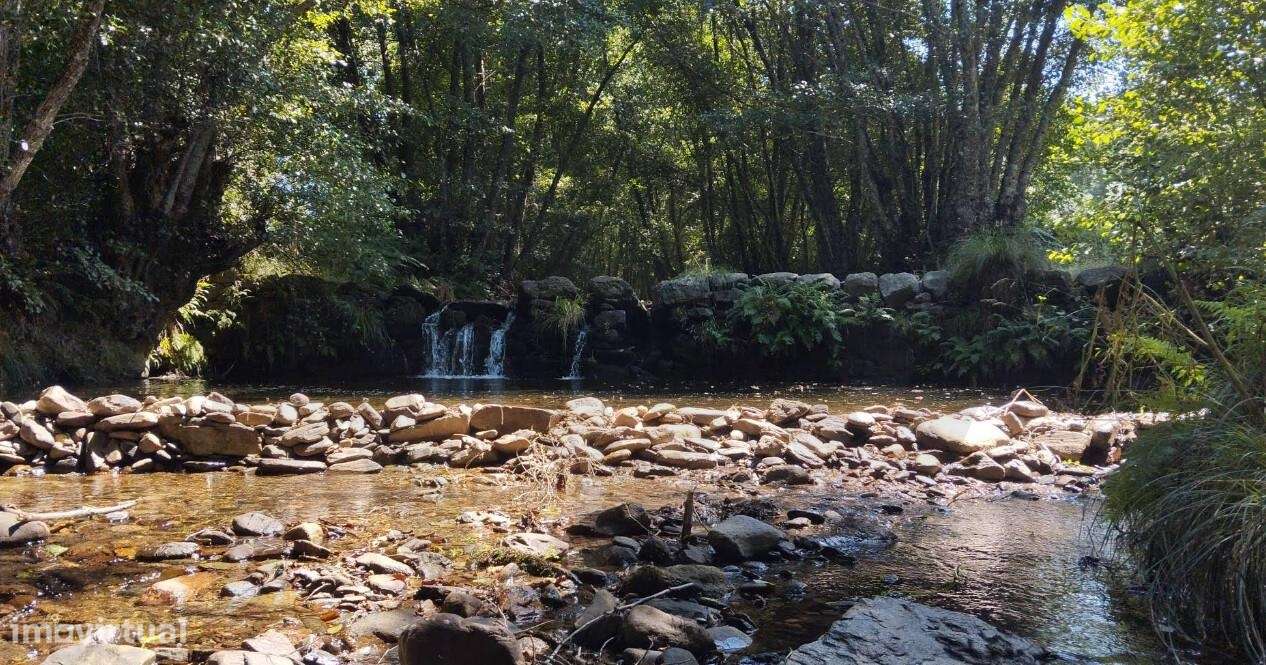 Terreno Rústico com Potencial Agrícola – Reboleiral, Souto da Casa - Grande imagem: 5/10