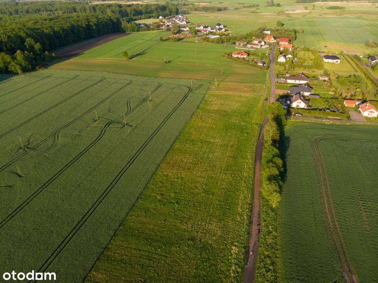 Działka budowlana Sieroczyn-1