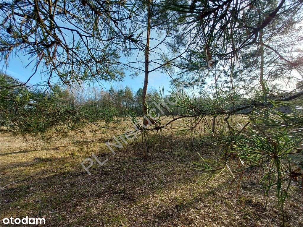 Ostatnia - Piękna Działka W Dobrej Cenie-4