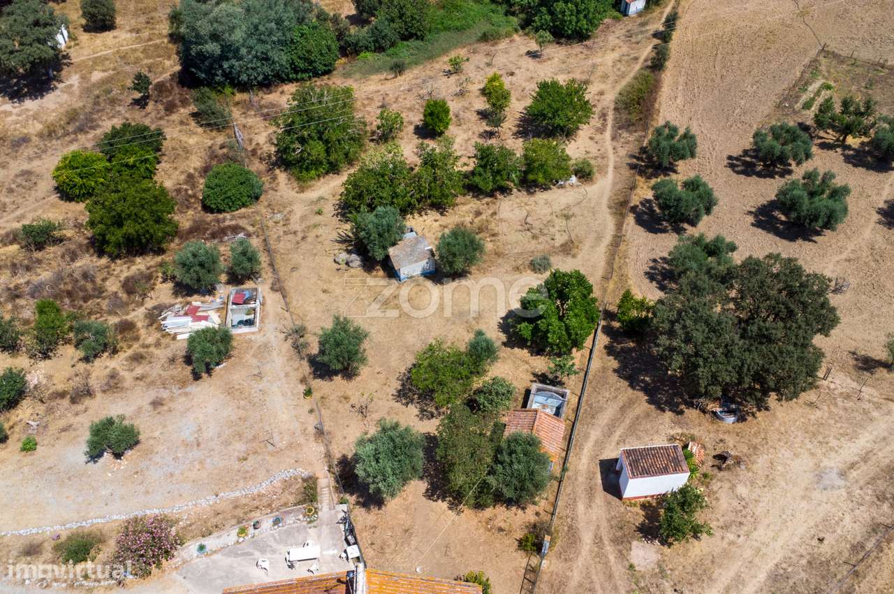 Monte Típico Alentejano com Projeto de Ampliação – Montemor-o-Novo... - Grande imagem: 4/38