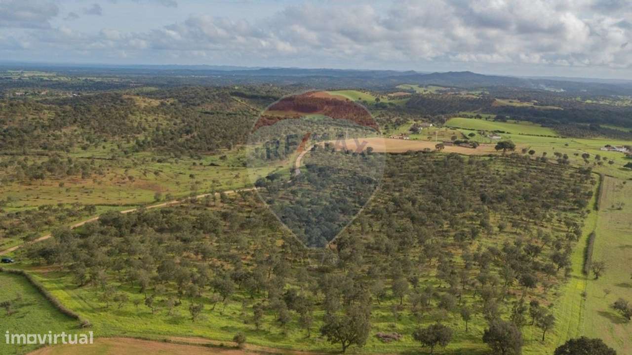 Terreno  para venda - Grande imagem: 5/13